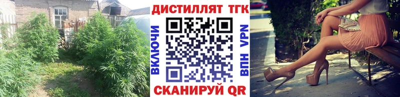 Купить закладки Петухово Дистиллят ТГК THC oil