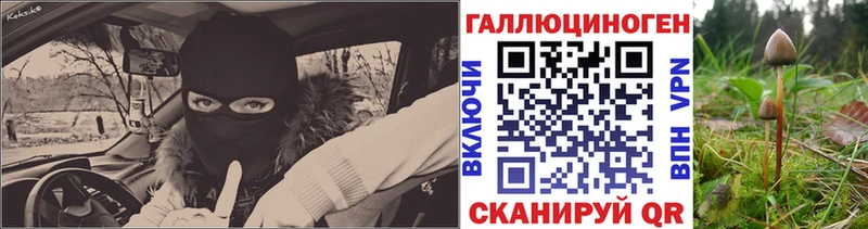 Псилоцибиновые грибы мухоморы  Купить  Петухово 